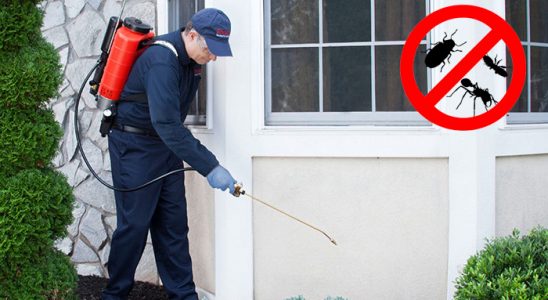 Gölcük Tahtakurusu İlaçlama böcek ilaçlama ve haşere kontrolü — ilaclama-tr.com